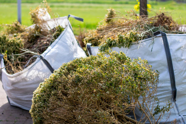 Recycling Services for Junk in Maple Grove, MN